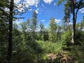 Продава ПАРЦЕЛ, с. Бойково, област Пловдив, снимка 3