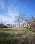 Продава ПАРЦЕЛ, област Варна, с. Петров дол • 24000 € / 46939.92 лв. • 83511292 1