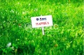 Продава ПАРЦЕЛ, град Варна, м-т Боровец - север • 55000 € / 107570.65 лв. • 92408822 1