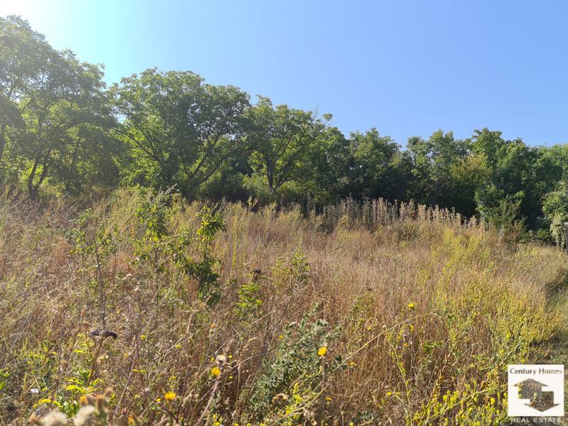 Продава ПАРЦЕЛ | Imot.bg — изображение 6