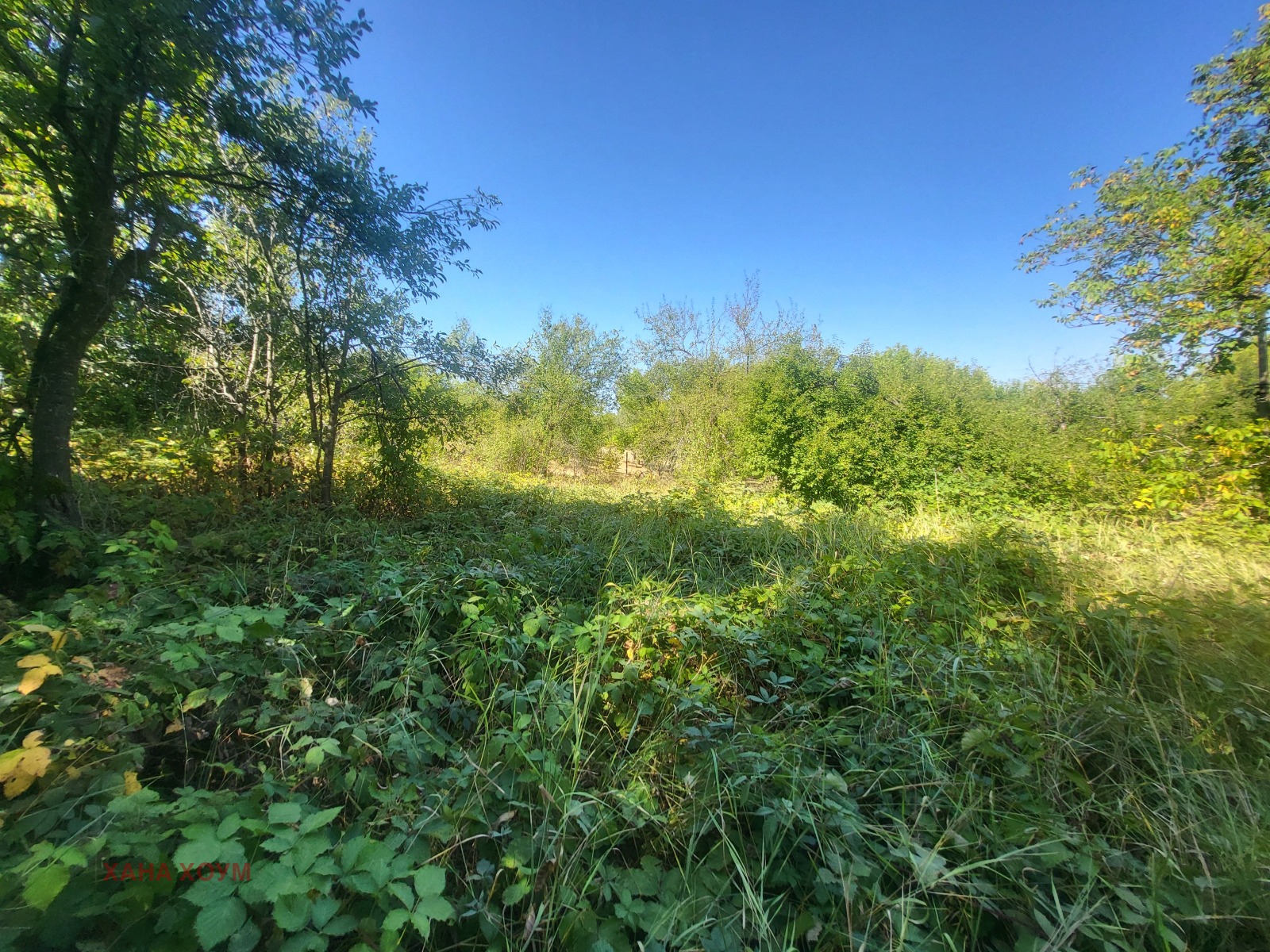 Продава КЪЩА | Imot.bg — изображение 5