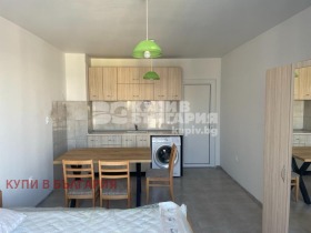Studio Kajsiewa gradina, Warna