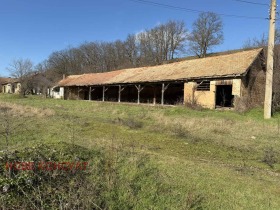 ������ ������� �����