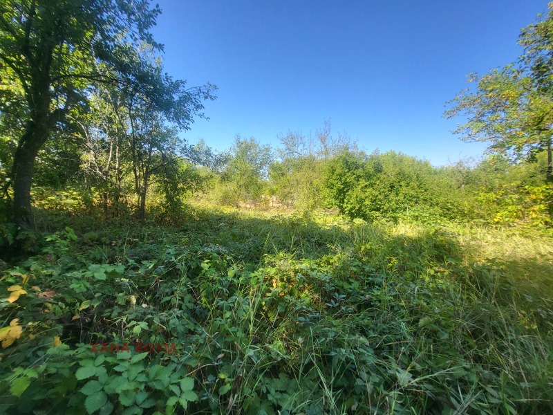 Продава  Къща област Ловеч , с. Старо село , 102 кв.м | 48003067 - изображение [5]