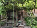 Продава КЪЩА, с. Черни бряг, област Търговище, снимка 7