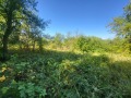 Продава КЪЩА, област Ловеч, с. Старо село • 37000 € • 73171711 — Holmes.bg