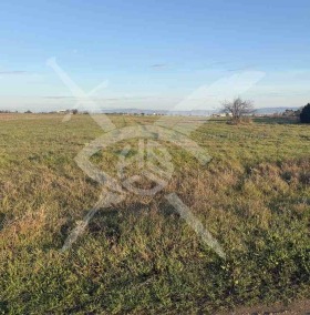 ����� ������� ������,�. �����, ������ ������