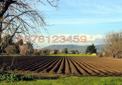 Продава ЗЕМЕДЕЛСКА ЗЕМЯ, гр. Каблешково, област Бургас