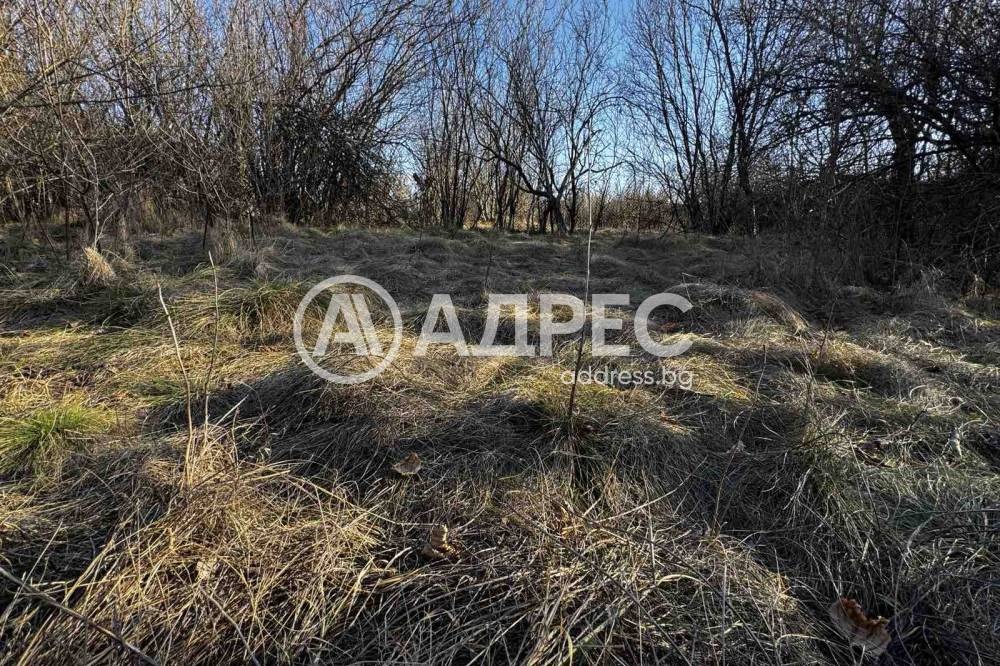 Продава ПАРЦЕЛ, с. Прибой, област Перник, снимка 6 - Парцели - 48964476