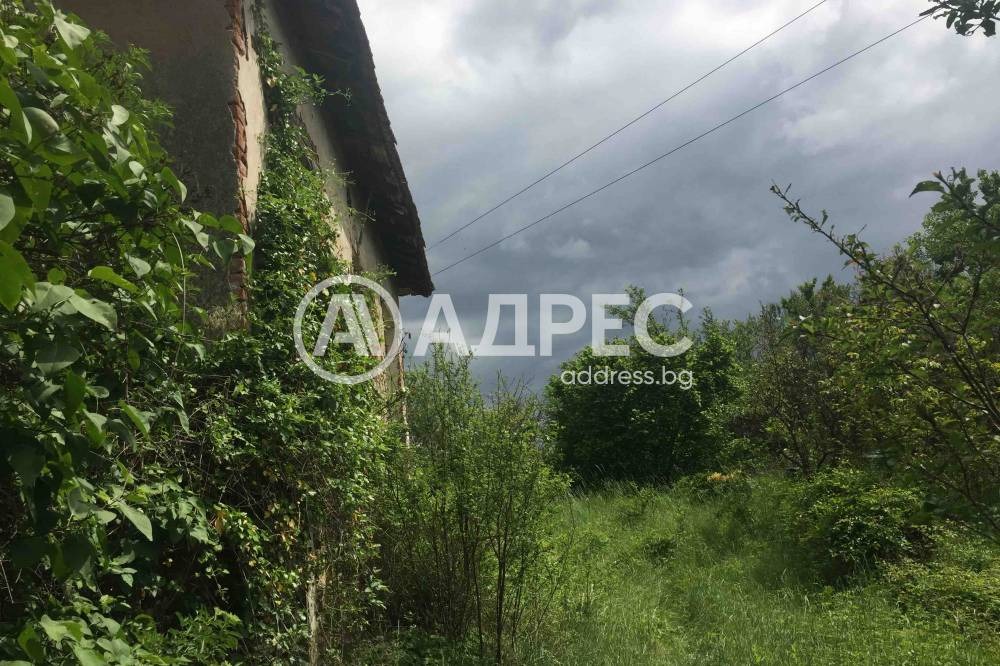 Продава ПАРЦЕЛ, с. Прибой, област Перник, снимка 9 - Парцели - 48964476