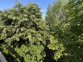 Продава  2-стаен област Бургас , к.к. Слънчев бряг , 61 кв.м | 73376167 - изображение [15]