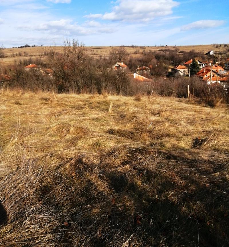 Na prodej  Spiknutí oblast Pernik , Černa gora , 531 m2 | 99228511 - obraz [4]