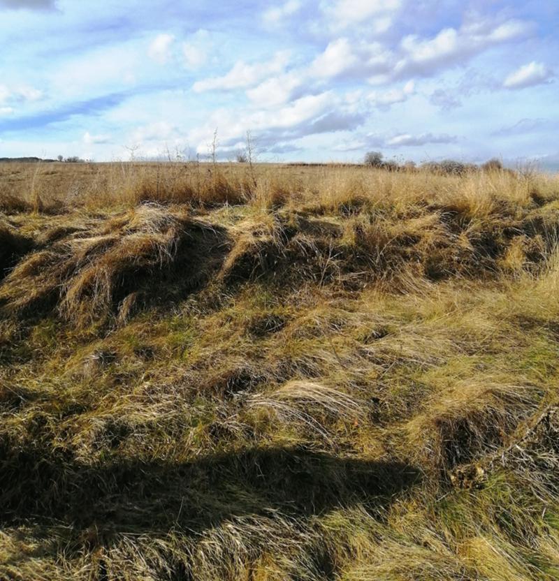 Na prodej  Spiknutí oblast Pernik , Černa gora , 531 m2 | 99228511 - obraz [3]