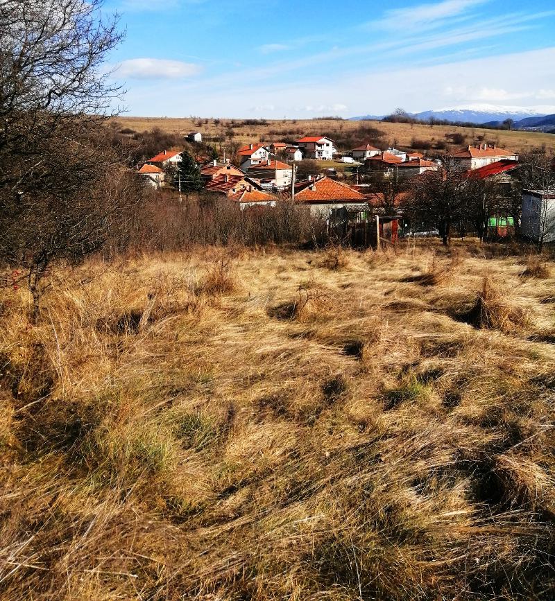 Na prodej  Spiknutí oblast Pernik , Černa gora , 531 m2 | 99228511 - obraz [10]