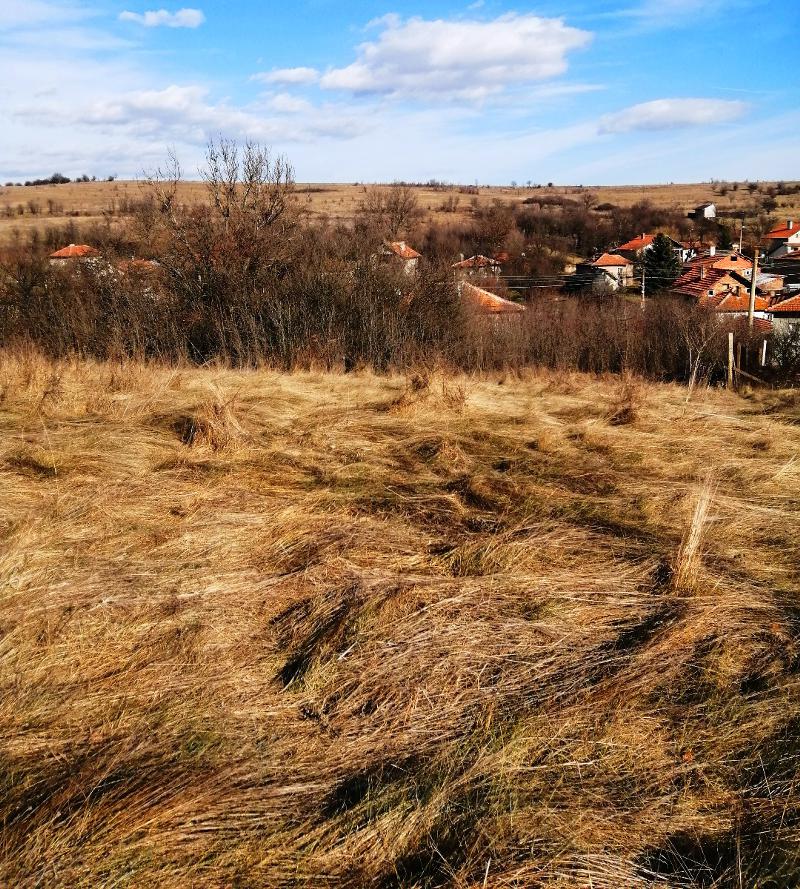 Na prodej  Spiknutí oblast Pernik , Černa gora , 531 m2 | 99228511 - obraz [11]