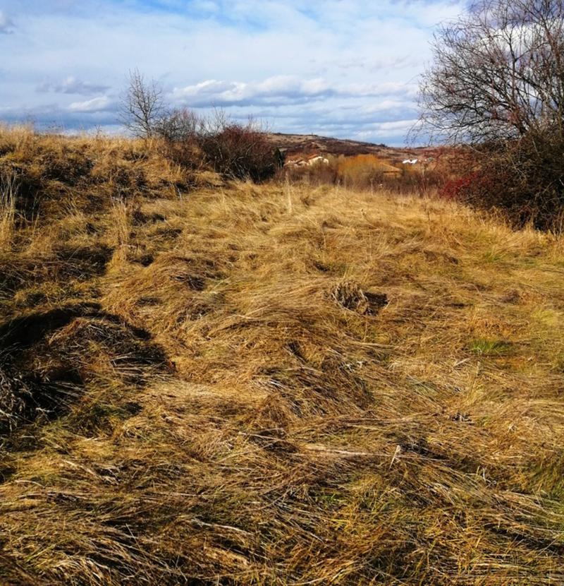 Na prodej  Spiknutí oblast Pernik , Černa gora , 531 m2 | 99228511 - obraz [2]