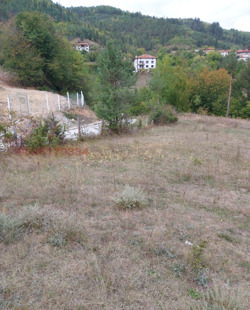 Продава ПАРЦЕЛ, с. Средногорци, област Смолян, снимка 3 - Парцели - 52785266