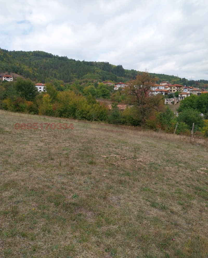 Продава ПАРЦЕЛ, с. Средногорци, област Смолян, снимка 5 - Парцели - 52785266