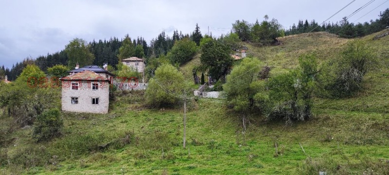 Продава КЪЩА, с. Водни пад, област Смолян, снимка 6 - Къщи - 53582220