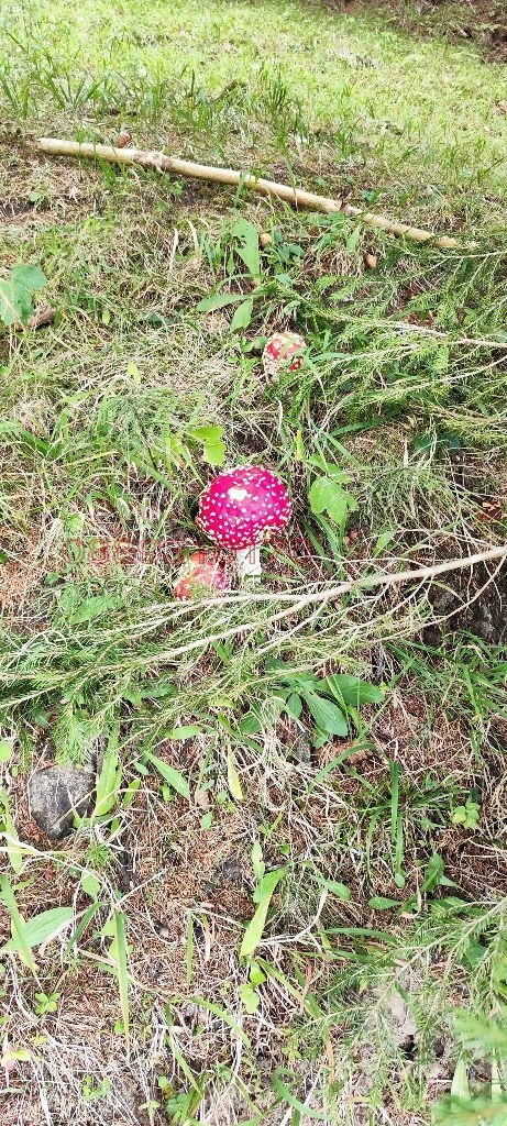 Продава КЪЩА, с. Водни пад, област Смолян, снимка 3 - Къщи - 53582220