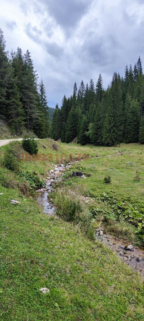 Продава КЪЩА, с. Водни пад, област Смолян, снимка 2 - Къщи - 53688029