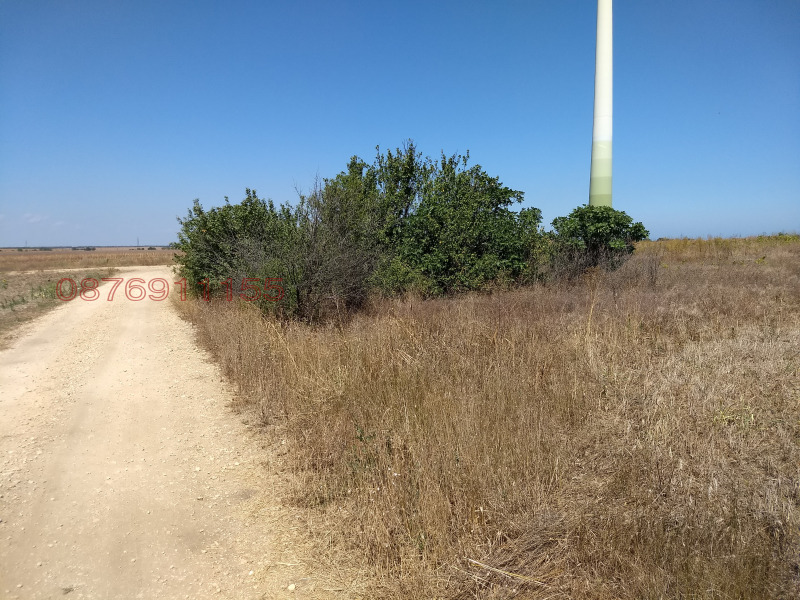 Продава ЗЕМЕДЕЛСКА ЗЕМЯ, гр. Шабла, област Добрич, снимка 3 - Земеделска земя - 52779785