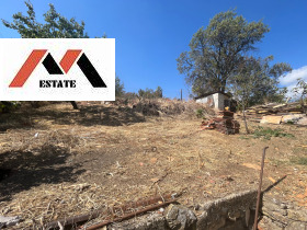 ����� ������� ����,�. ����������, ������ ����� ������