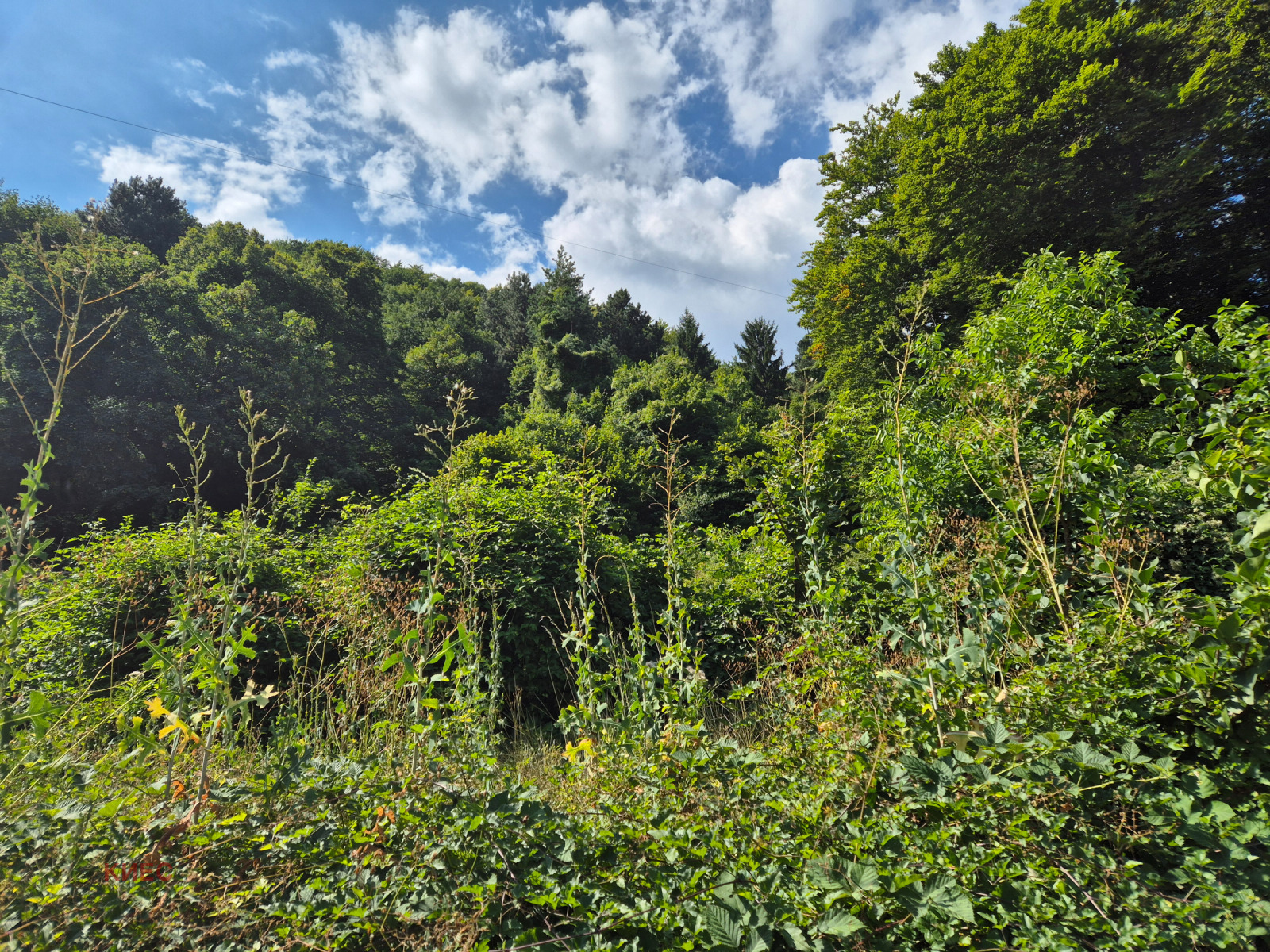 Продава КЪЩА | Imot.bg — изображение 17