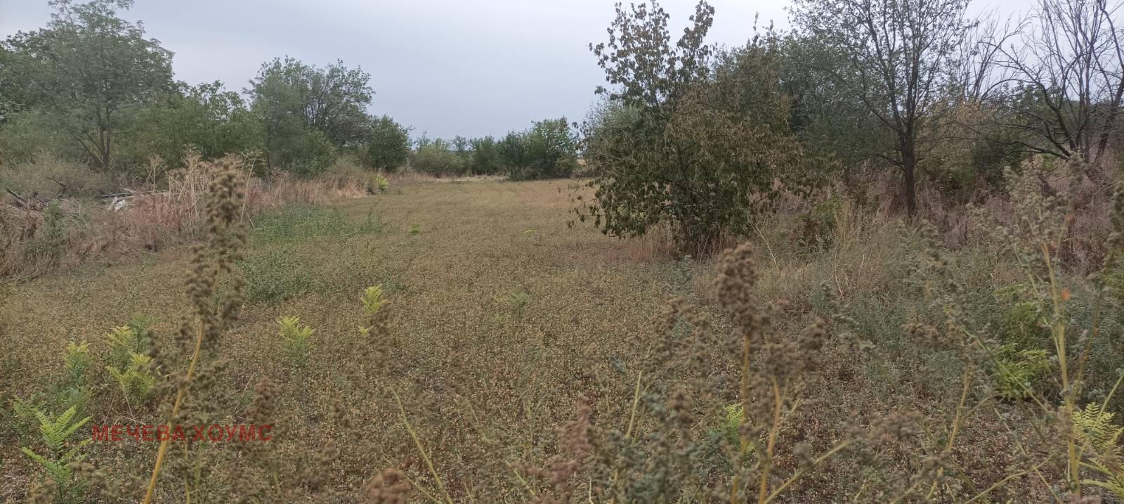 ������� ���� | Imot.bg � ����������� 12