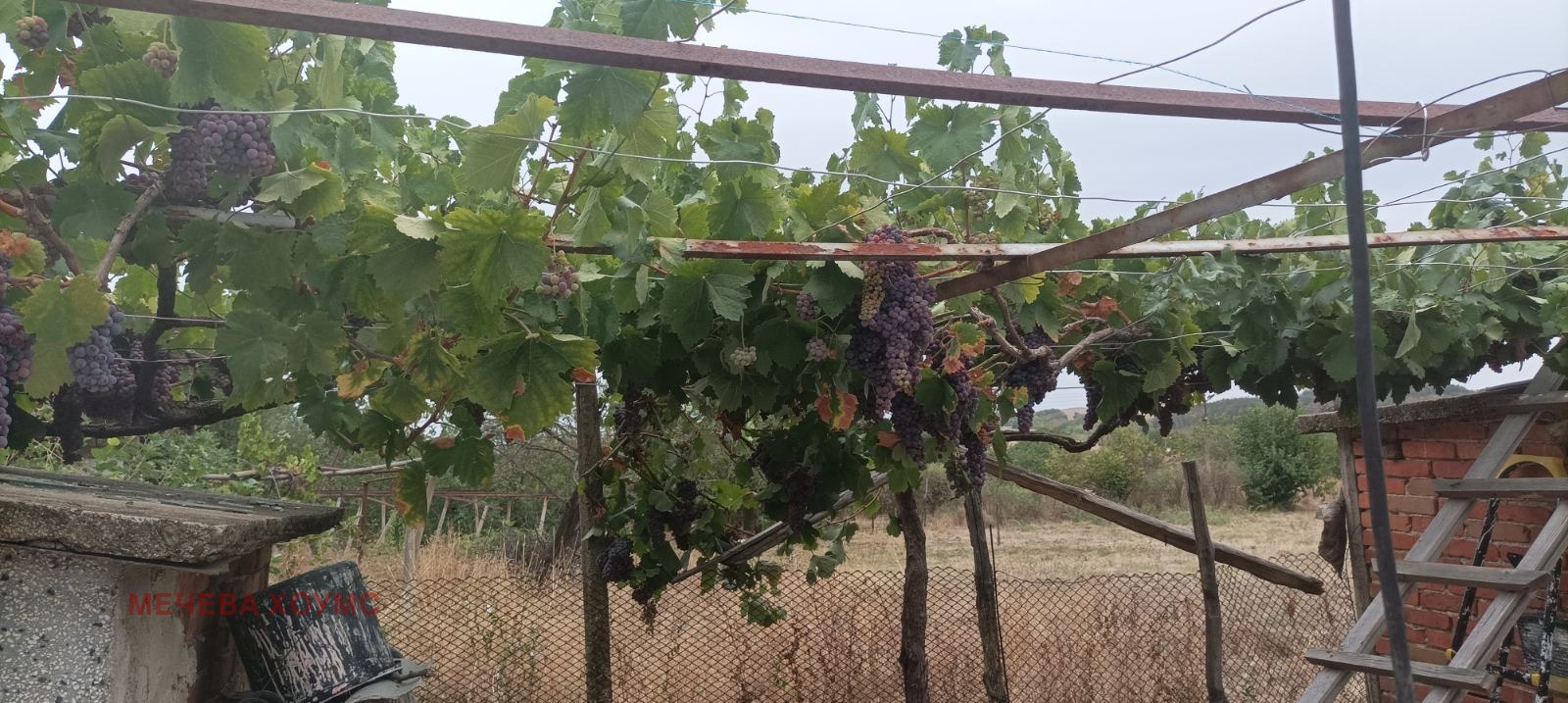 ������� ���� | Imot.bg � ����������� 13