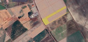 ������ ������� ������