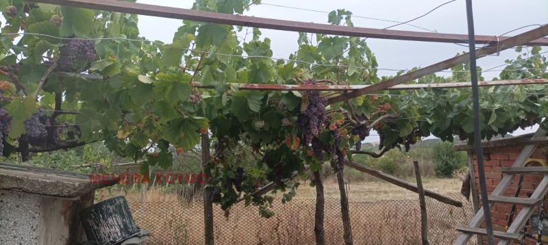 Продава КЪЩА, с. Михайлово, област Стара Загора, снимка 12 - Къщи - 53159237