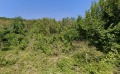 Продава ПАРЦЕЛ, гр. Балчик, област Добрич, снимка 1