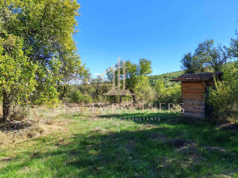 Продава ПАРЦЕЛ в област Перник, с. Калище - 1000 кв.м / 28 121.05 € » 55 000 лв., РИЪЛТИ ПАРТНЪРС