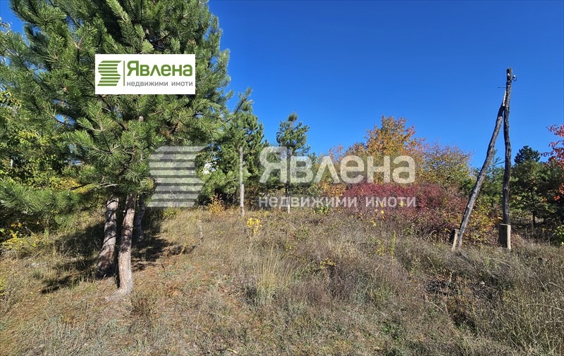 ������� ������ | Imot.bg � ����������� 6