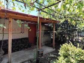 ����� ������� ����,��. �����, ������ ������