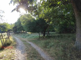 ������� ������ | Imot.bg � ����� ������ 6
