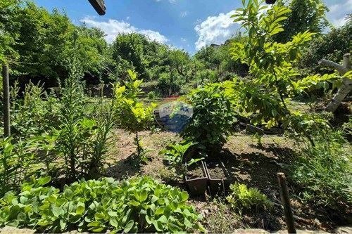 Zu verkaufen  Haus region Dobritsch , Kranewo , 594 qm | 28325051 - Bild [12]