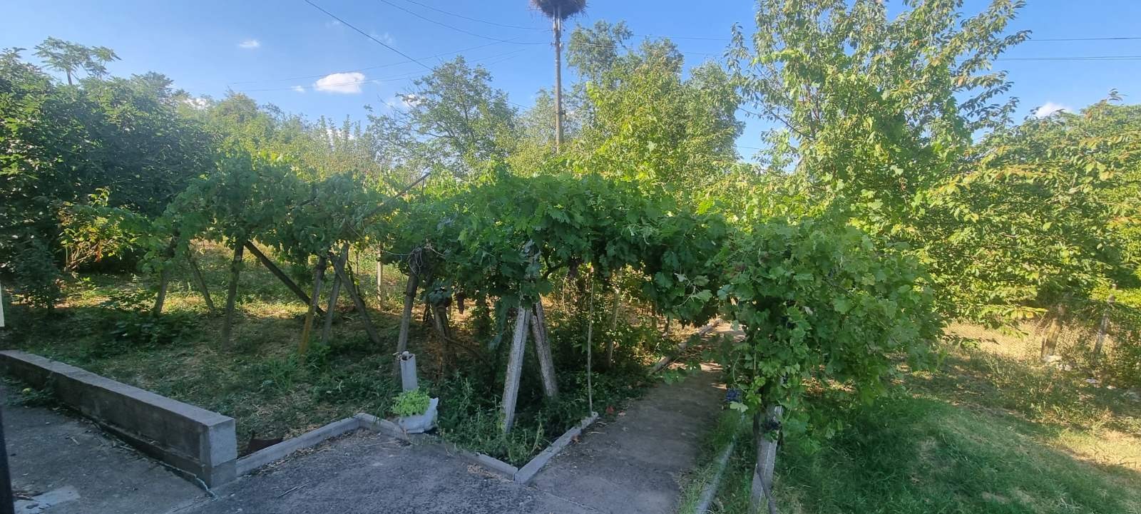 Продава КЪЩА, с. Цар Симеоново, област Видин, снимка 16 - Къщи - 55738939