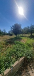 Продава  Къща област Видин , с. Цар Симеоново , 154 кв.м | 88535805 - изображение [13]