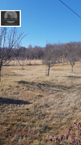 House Sovolyano, region Kyustendil 13