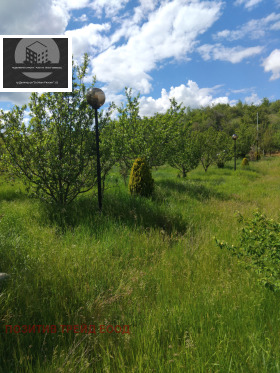 ������� ���� | Imot.bg � ����� ������ 12