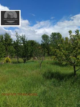 ������� ���� | Imot.bg � ����� ������ 10