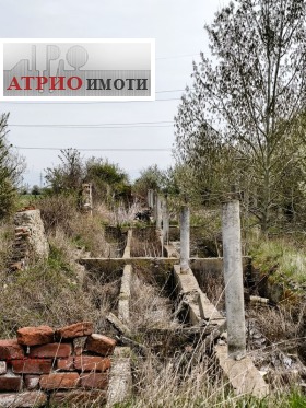 ������� ������ | Imot.bg � ����� ������ 8