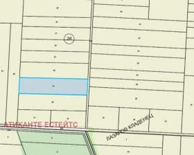 ����� ������� ������,�. ������, ������ �����