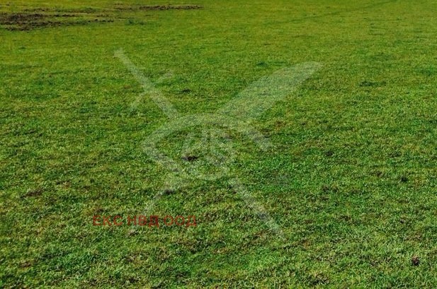 À venda  Trama região Plovdiv , Kozanovo , 2600 m² | 38403819