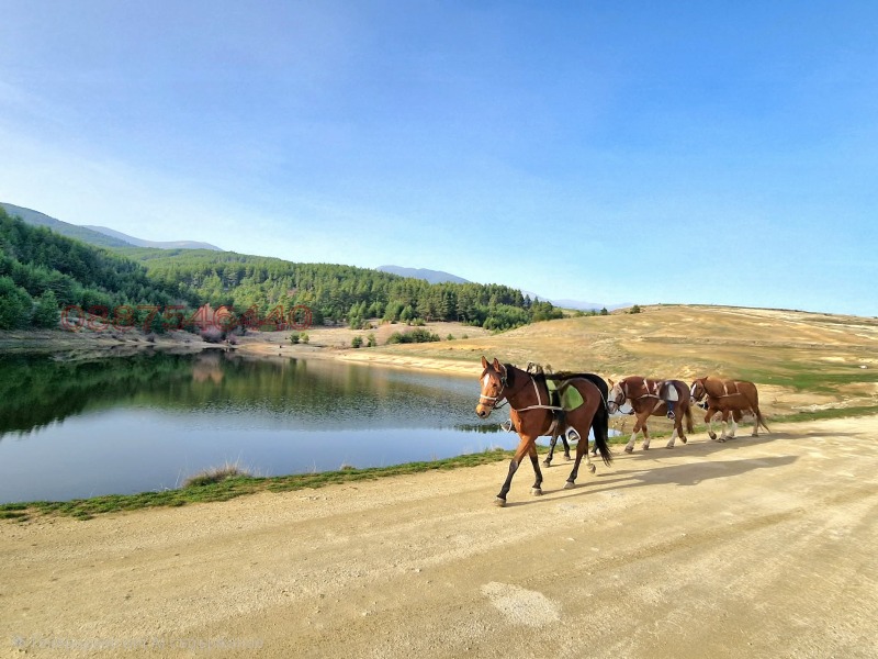 Продава ПАРЦЕЛ, гр. Разлог, област Благоевград, снимка 5 - Парцели - 53303048