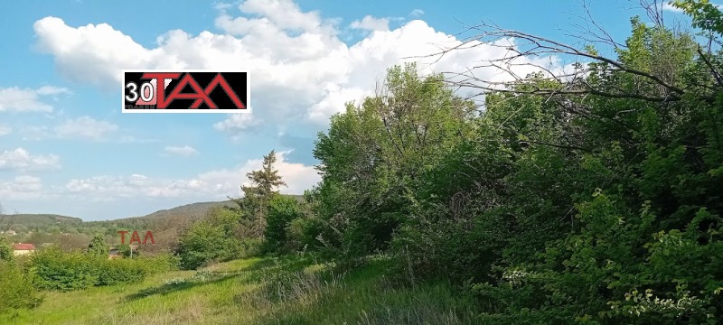 For Sale  Plot region Pazardzhik , Lesichovo , 1014 sq.m | 93839188 - image [4]