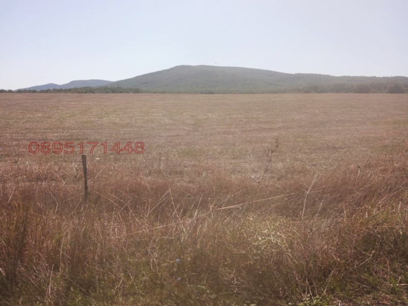 Продава ЗЕМЕДЕЛСКА ЗЕМЯ, гр. Созопол, област Бургас, снимка 11 - Земеделска земя - 53375770