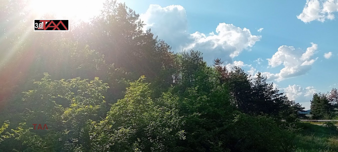 Продава ПАРЦЕЛ, с. Лесичово, област Пазарджик, снимка 2 - Парцели - 50389909